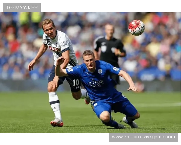 托特纳姆热刺边线传中搅动禁区 托特纳姆热刺边线传中搅动禁区